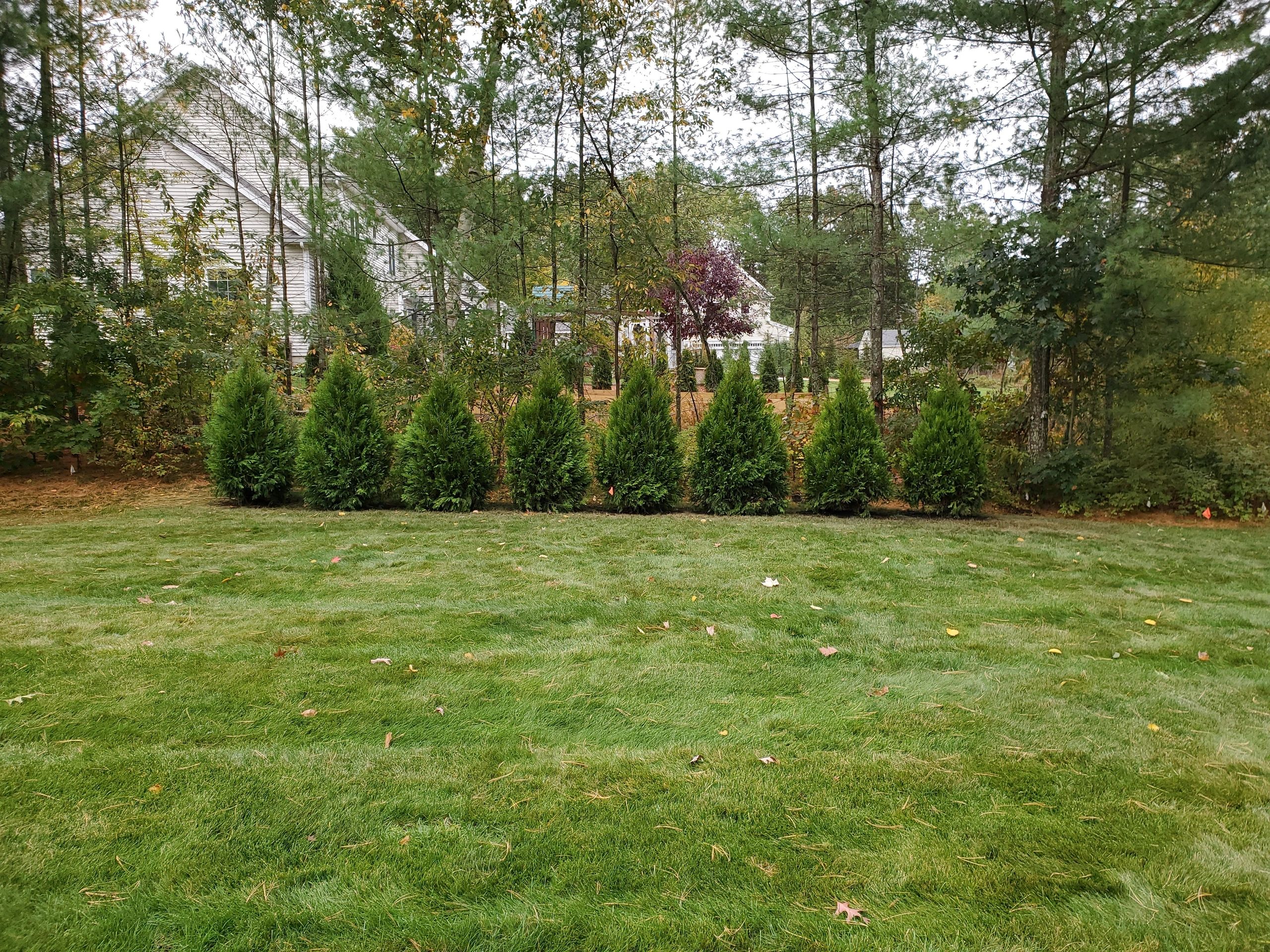 Hardscape installation